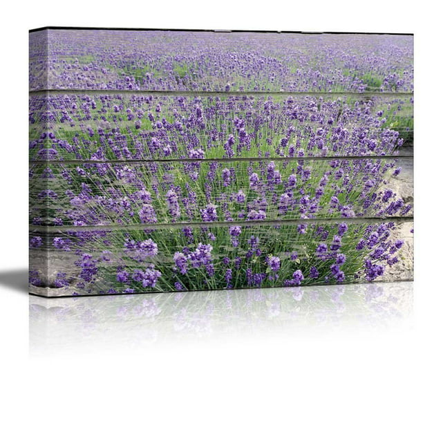24x36 Office wall26 Canvas Print Wall Art Purple Lavender Field Nature Floral Wood Panels Photography Rustic Scenic Colorful Multicolor Cool Zen for Living Room Bedroom 